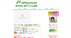 Desktop Screenshot of npsystem.co.jp